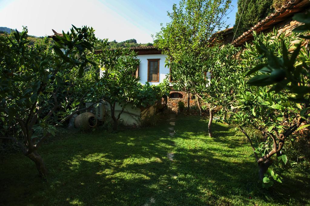 Terrace Houses Sirince Селчук Екстериор снимка
