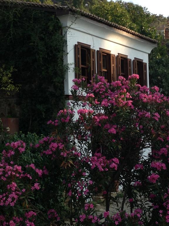 Terrace Houses Sirince Селчук Екстериор снимка
